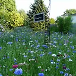Zur Kirchsee 3* 因塞尔波埃尔