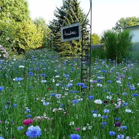 Zur Kirchsee 3* Insel Poel